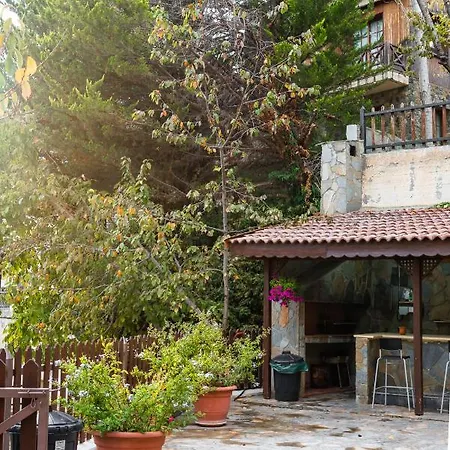 Pinecone - 3 Units * פלטרס