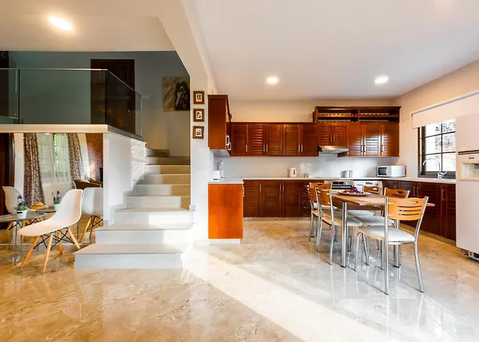 Pinecone - 3 Units Platres