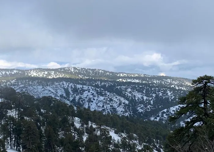 Apartmán Pinecone - 3 Units Platres