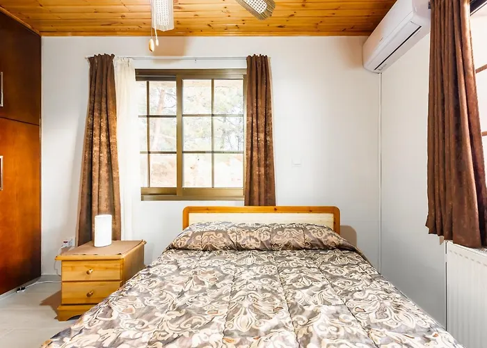 Pinecone - 3 Units * Platres