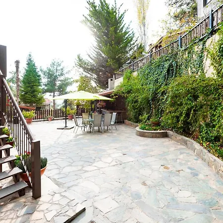 Pinecone - 3 Units *