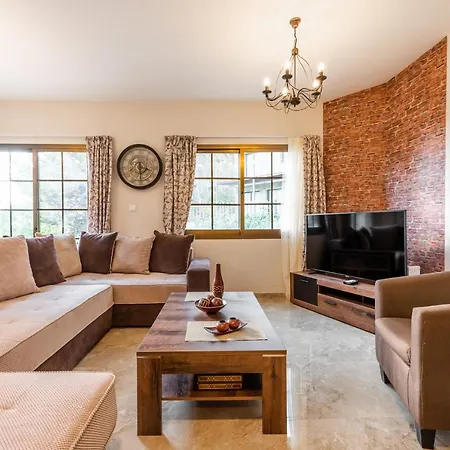 Pinecone - 3 Units * Platres