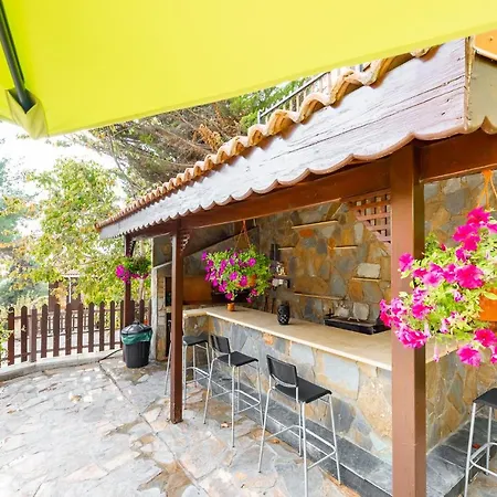 Pinecone - 3 Units Platres