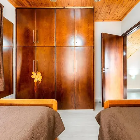 Pinecone - 3 Units *