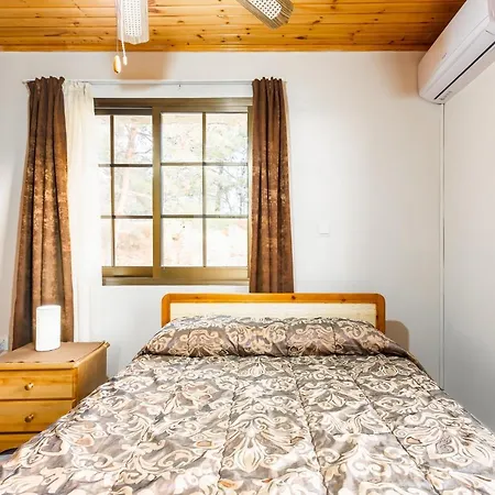 Pinecone - 3 Units * Platres