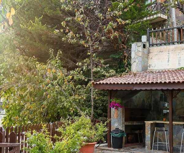 Pinecone - 3 Units * Platres